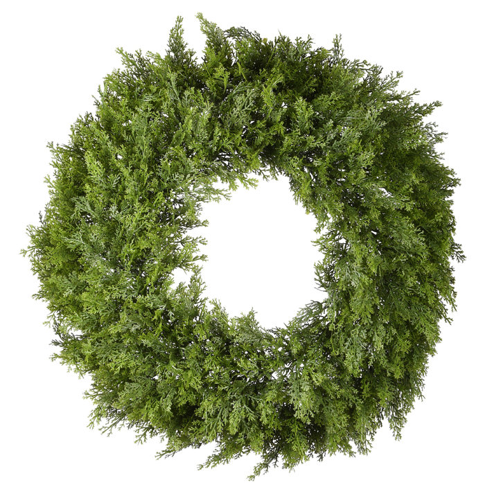 The Holiday Aisle® 24" Arborvitae Wreath Birch Lane